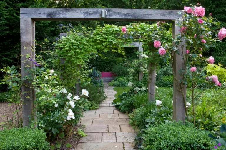 Framed garden walkway through a wooden pergola adorned with climbing roses and lush greenery, giving a romantic and structured garden impression.