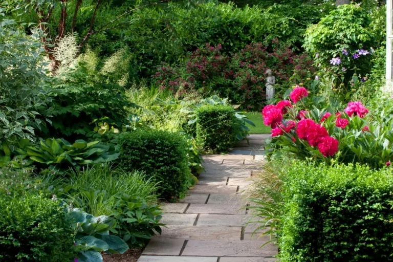 Shaded garden pathway lined with neatly trimmed box hedges, vibrant perennials, and pink flowers, showcasing serene, structured planting design.