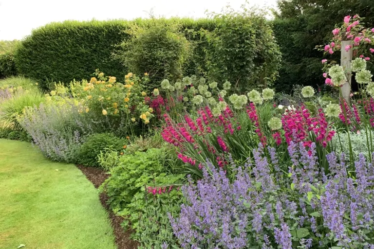 Colorful flower border with purple, pink, and white blooms along a manicured lawn and tall hedge backdrop.