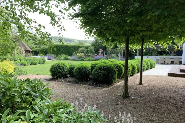 Shaded garden with trimmed box hedges, ornamental shrubs, and flowering borders providing a serene landscape.