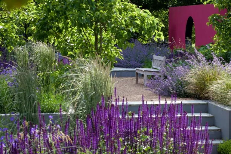 Sunlit Surrey garden with purple and green flower borders, a curved seating area, and a red wall partially visible in the background.