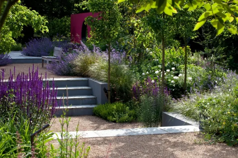 Surrey garden with a central path leading to a pergola, surrounded by lush green foliage, purple flowering perennials, and neatly trimmed shrubs.
