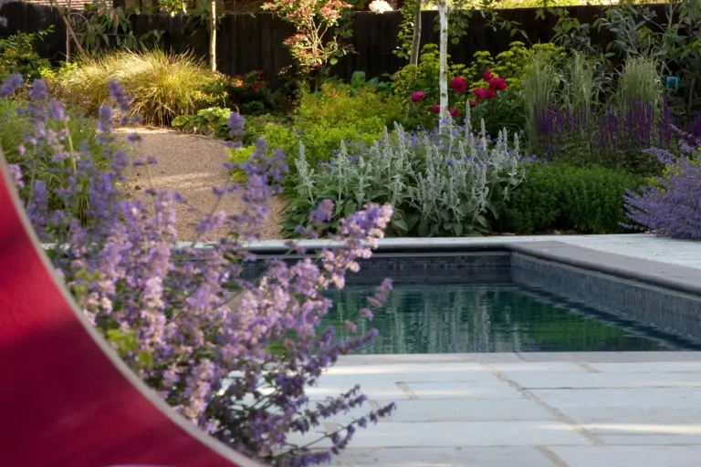 Modern backyard garden with rectangular swimming pool, purple flowering plants, and landscaped greenery for contemporary outdoor living.