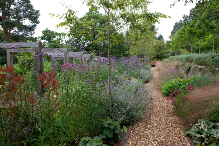 Curved gravel pathway winding through a vibrant garden with flowering perennials, ornamental grasses, and leafy trees.