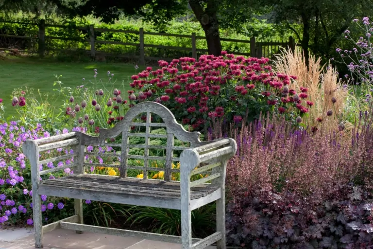 Wooden garden bench nestled among purple and red flowering plants, ornamental grasses, and leafy shrubs.