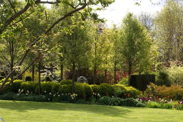Formal spring garden with trimmed hedges, lawn, and flowering borders including tulips and spring perennials.