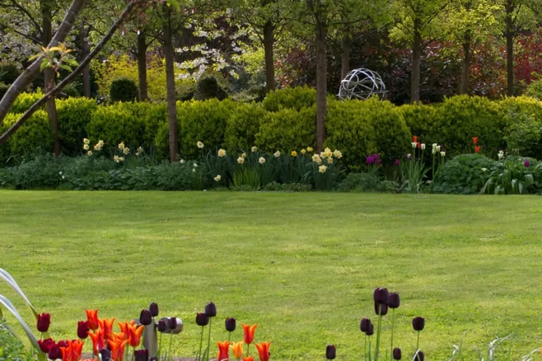 Flowering garden terrace with orange tulips and manicured shrubs in a structured and colorful spring landscape.