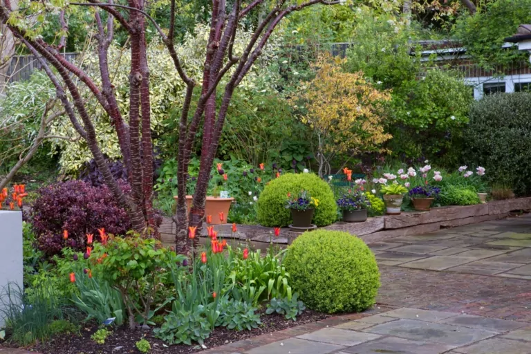 Manicured garden terrace with flowering shrubs, orange tulips, and trimmed topiary, creating a structured spring landscape.
