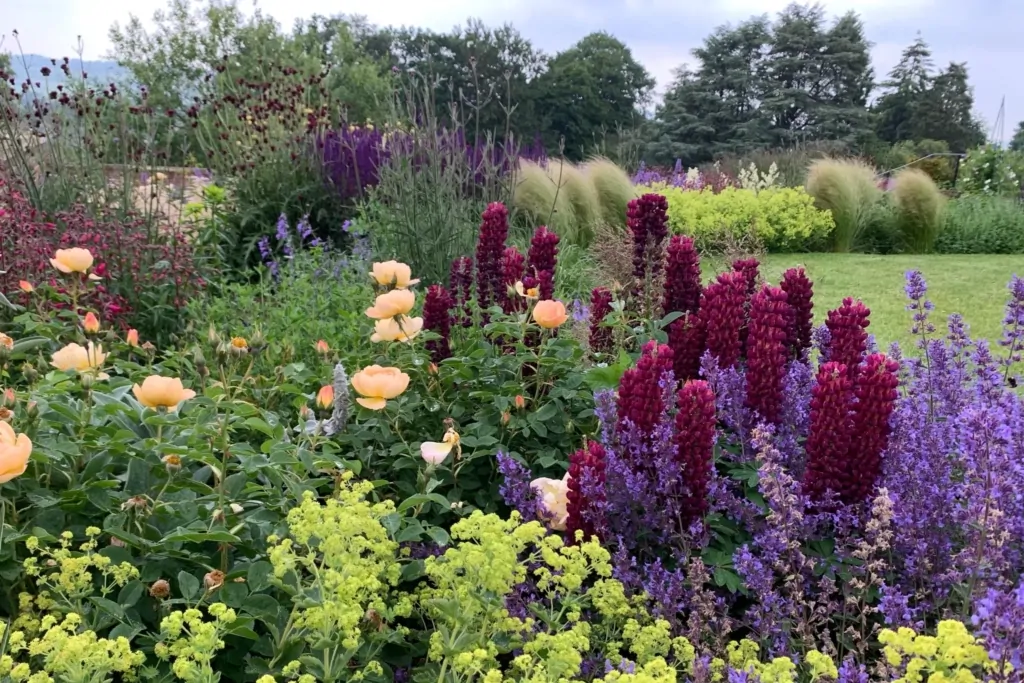 Surrey garden with vibrant perennial planting featuring red, purple, and yellow flowers, lush green foliage, and a manicured lawn in the background under a cloudy sky.