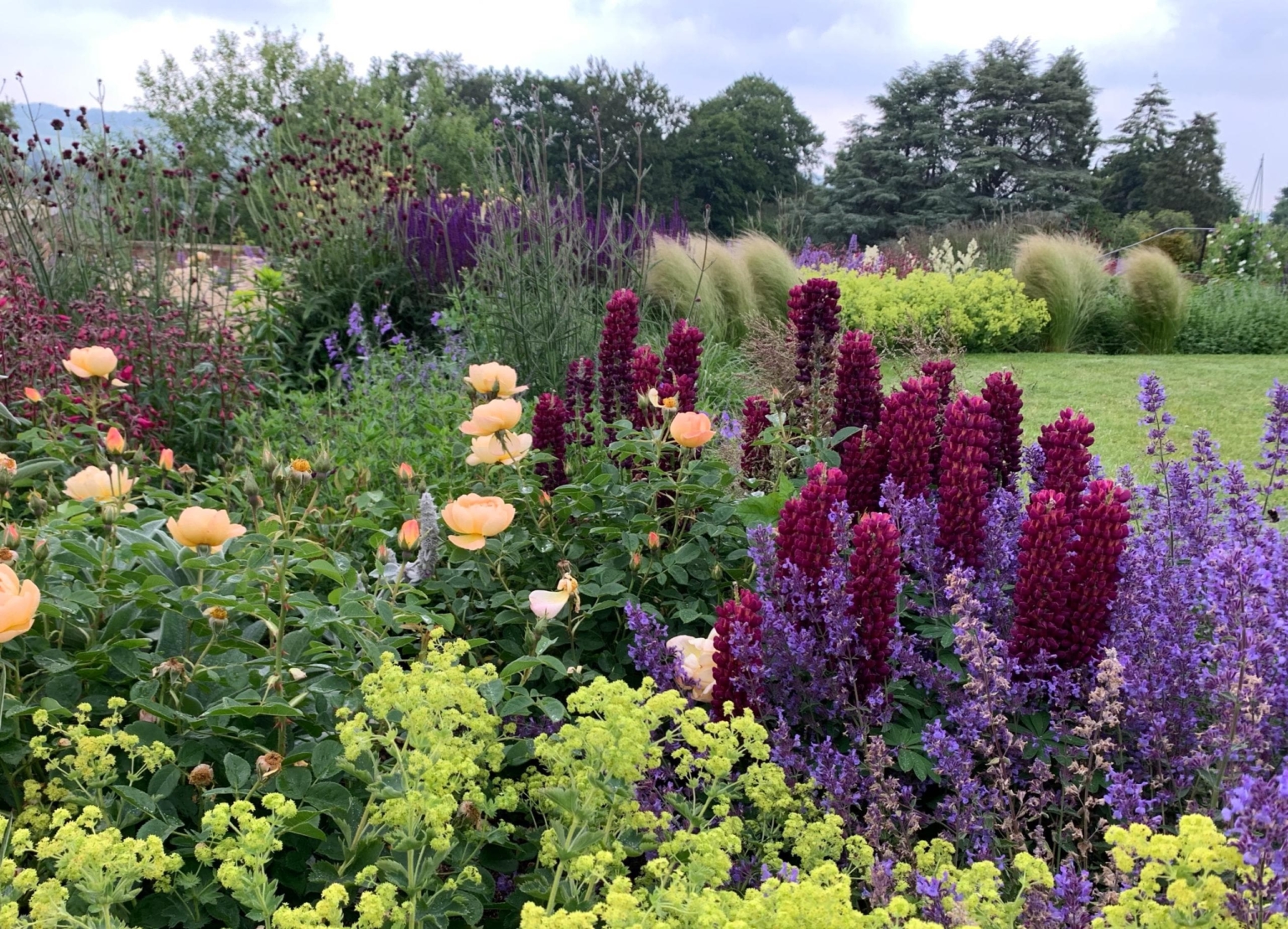 Surrey garden with vibrant perennial planting featuring red, purple, and yellow flowers, lush green foliage, and a manicured lawn in the background under a cloudy sky.