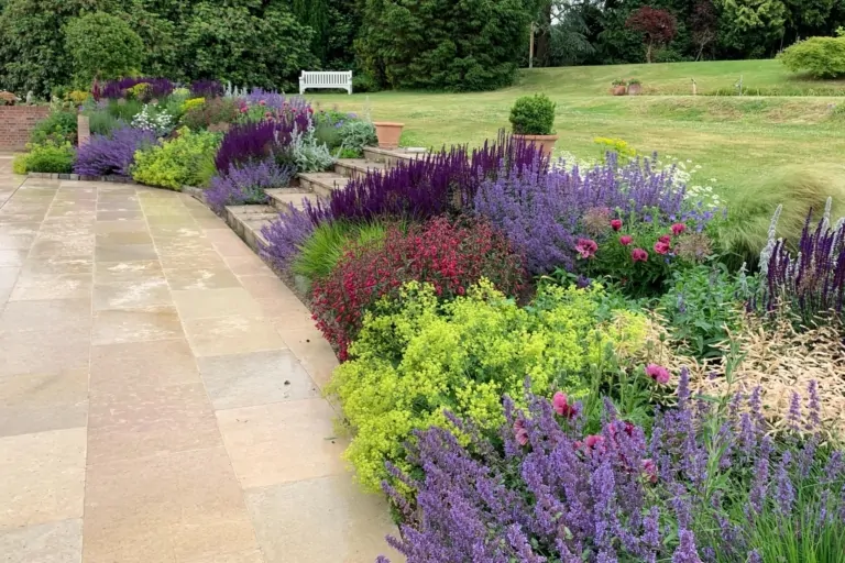 Terrace garden with light paving, dense mixed perennial borders in pink, purple, and green, backed by a low brick wall with climbing plants.