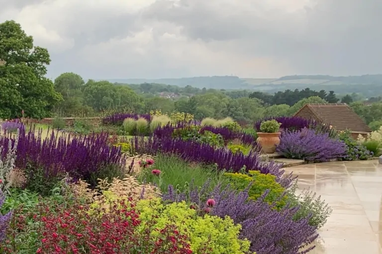 Terraced perennial garden with purple and red flowering plants, cream-colored foliage, and a stone patio providing layered textures and seasonal color.