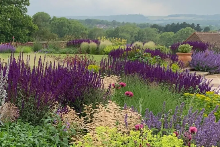 Luxury Surrey garden with dense purple, red, and green perennial beds, overlooking a manicured lawn and rolling hills under an overcast sky.