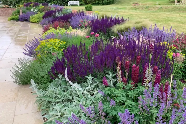Close-up of mixed perennial borders with purple and green foliage next to a stone patio, showing vibrant seasonal planting in a high-end Surrey garden.