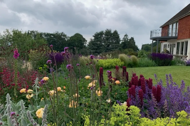 Wide Surrey garden view with layered flower borders of red, purple, and yellow perennials, manicured lawn, and a distant brick building under a cloudy sky.