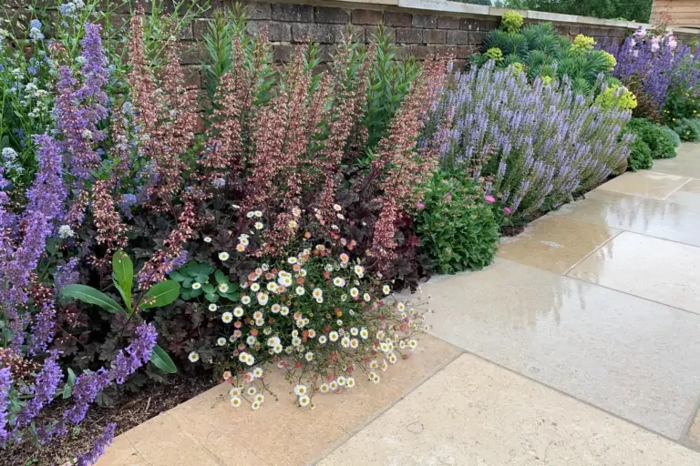 Terrace garden with light paving, dense perennial planting in purple, pink, and cream, framed by a low brick wall and green shrubs in a Surrey garden.