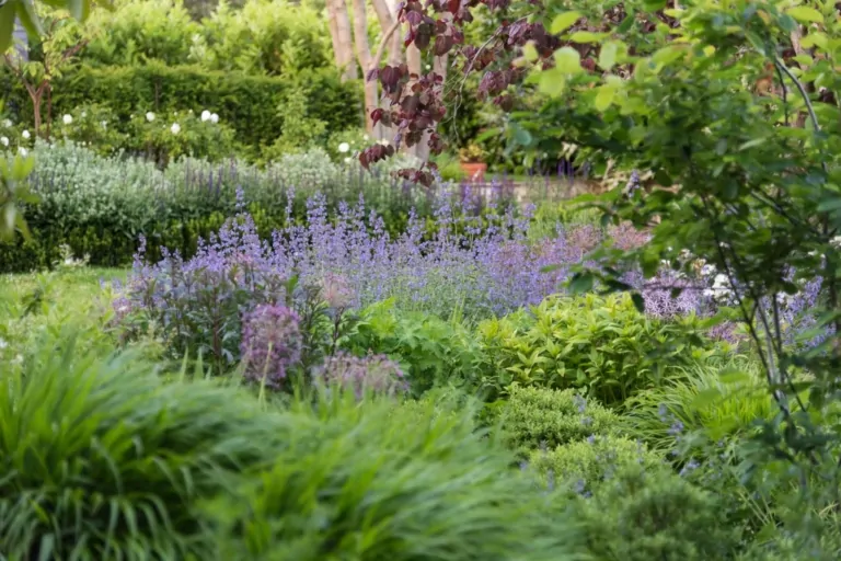 Stone-edged garden terraces with mixed perennial planting and manicured greenery, illustrating high-end Surrey landscape design.