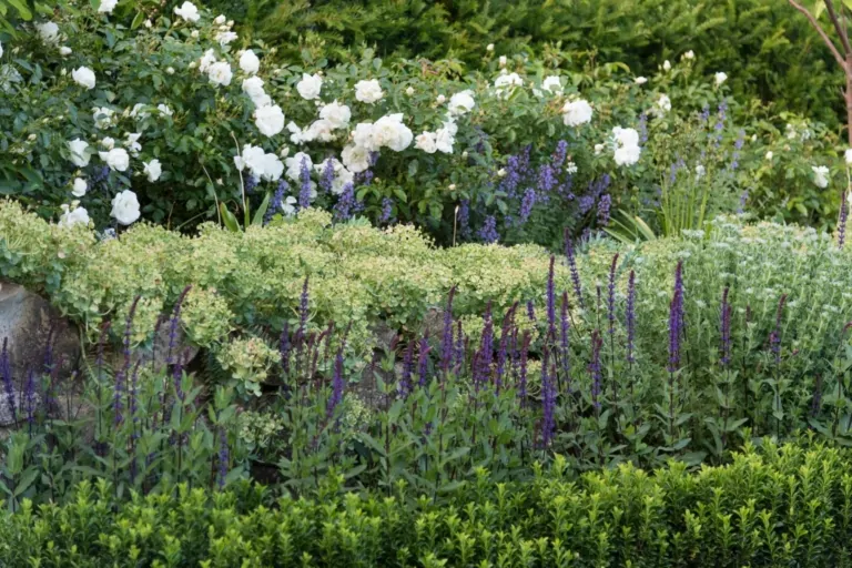 White and purple perennial borders with stone retaining walls in a modern Surrey garden, showcasing layered planting and structured design.