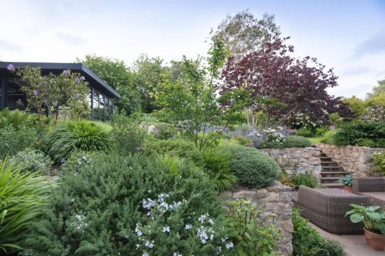 Terraced Surrey garden with layered shrubs, perennials, and manicured planting, demonstrating sophisticated garden design.
