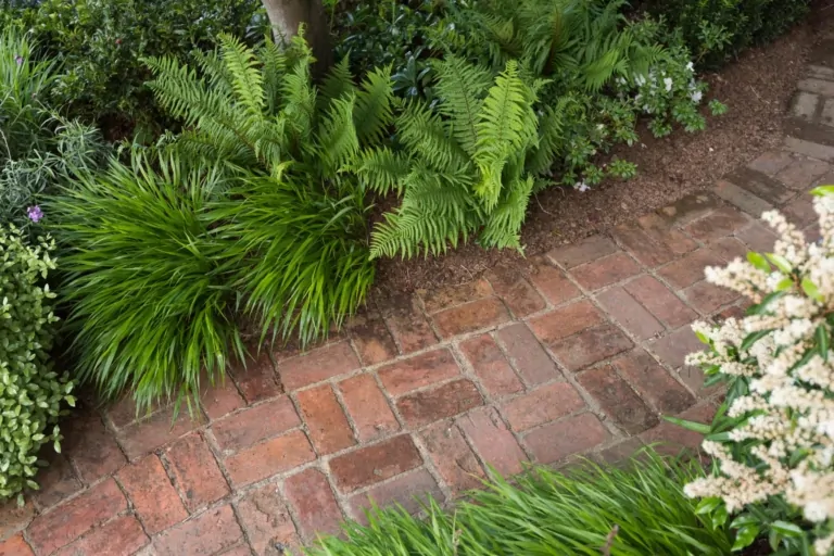 Brick garden path with surrounding ferns and ornamental grasses, highlighting textured and structured planting in a luxury Surrey garden.