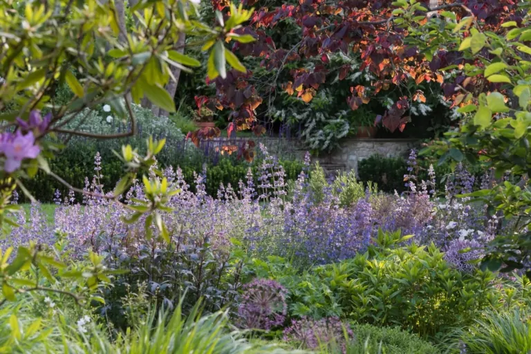 Layered purple flowering perennials and green foliage with tree canopy overhead, showcasing high-end Surrey garden planting.