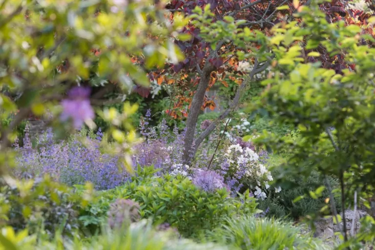 Purple and green perennial planting in a shaded Surrey garden, creating a naturalistic and tranquil luxury landscape.
