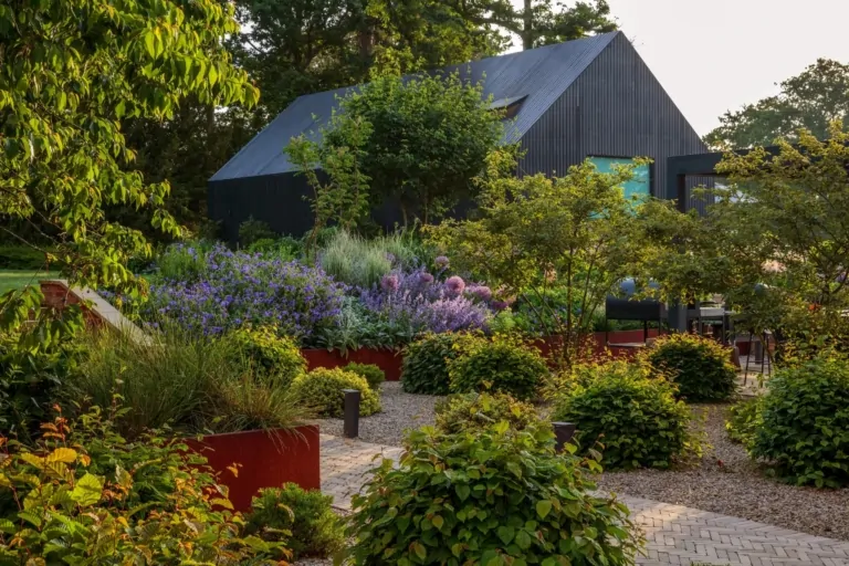Modern Surrey garden with layered perennial planting, manicured lawn, and contemporary architectural backdrop, showcasing bespoke garden design.