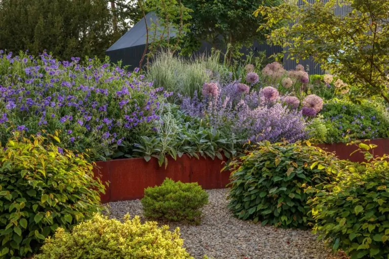 Terraced garden with mixed perennial planting and manicured lawns in a contemporary Surrey garden, highlighting luxury landscaping.