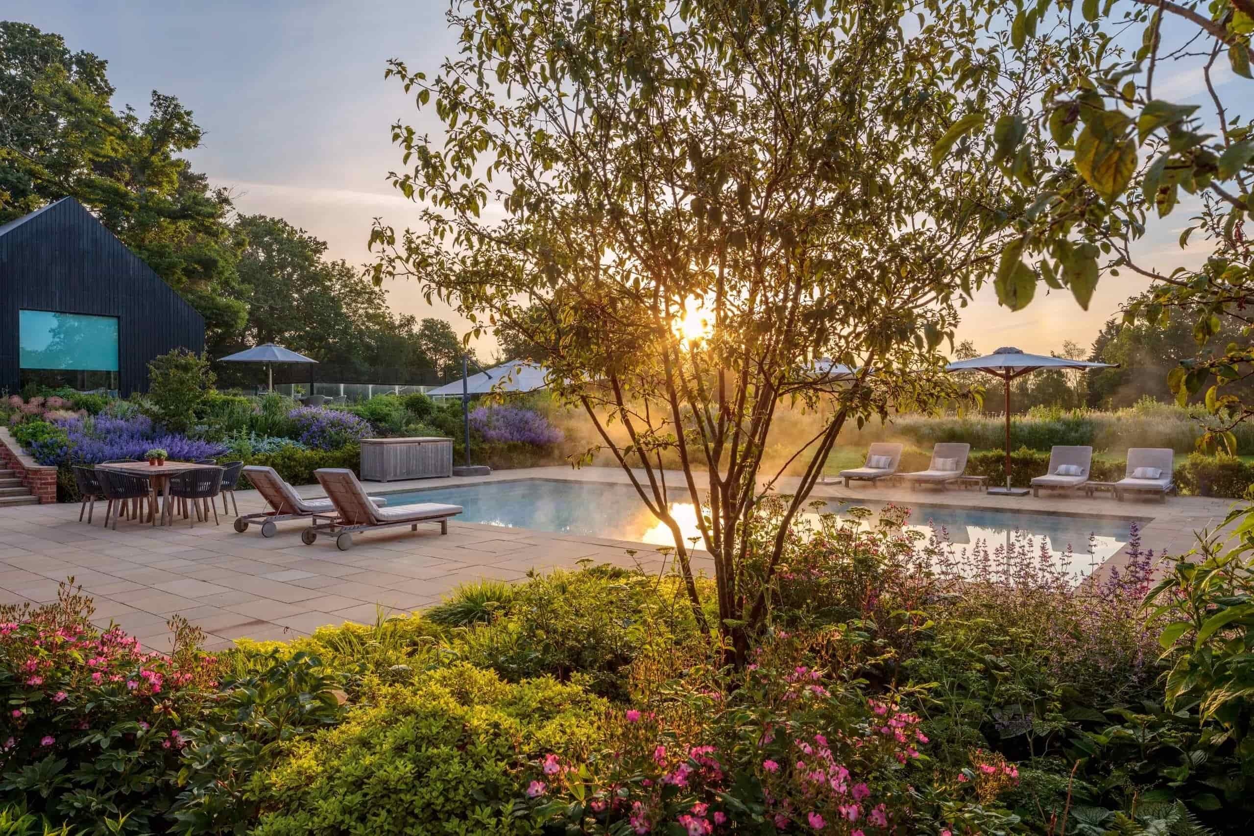 Evening light over a modern Surrey garden pool with surrounding planting and structured greenery, highlighting bespoke outdoor landscaping.