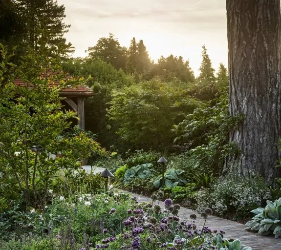 Shaded garden path with lush greenery, flowering plants, and a tree leading to a modern house in the background.