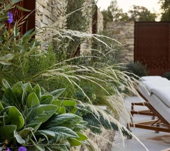 Close-up of ornamental grasses and succulents along a stone wall beside a modern outdoor lounge area.