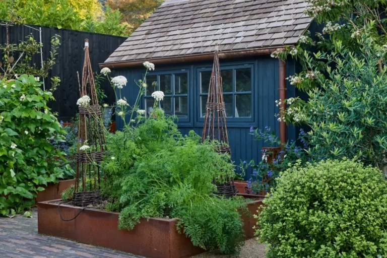 Vegetable and herb garden with raised beds, topiary shrubs, and a rustic blue garden shed.