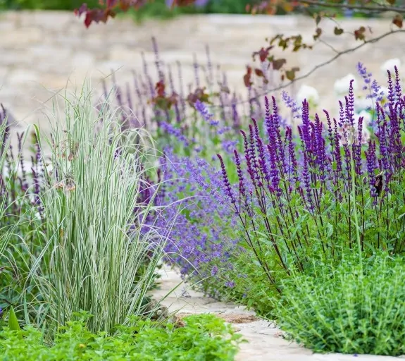 Close-up view of stone retaining wall with dense lavender and ornamental grasses in a modern landscaped garden.