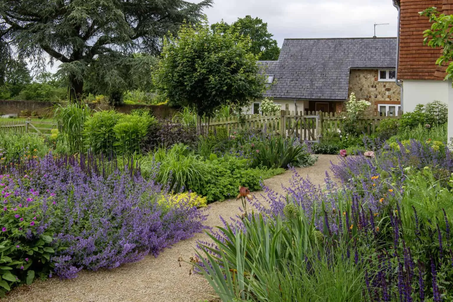 Country garden with curved gravel path, purple flowering borders, mature trees and a traditional stone house.