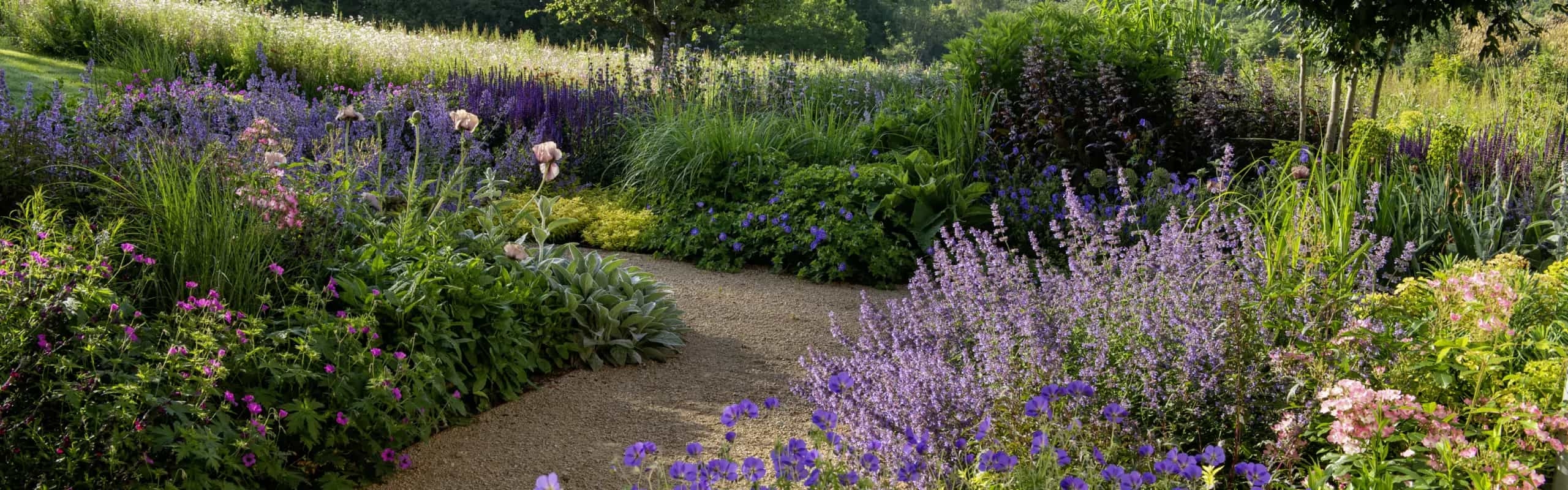 Curved gravel path through colourful perennial planting with purple, pink and blue flowers.