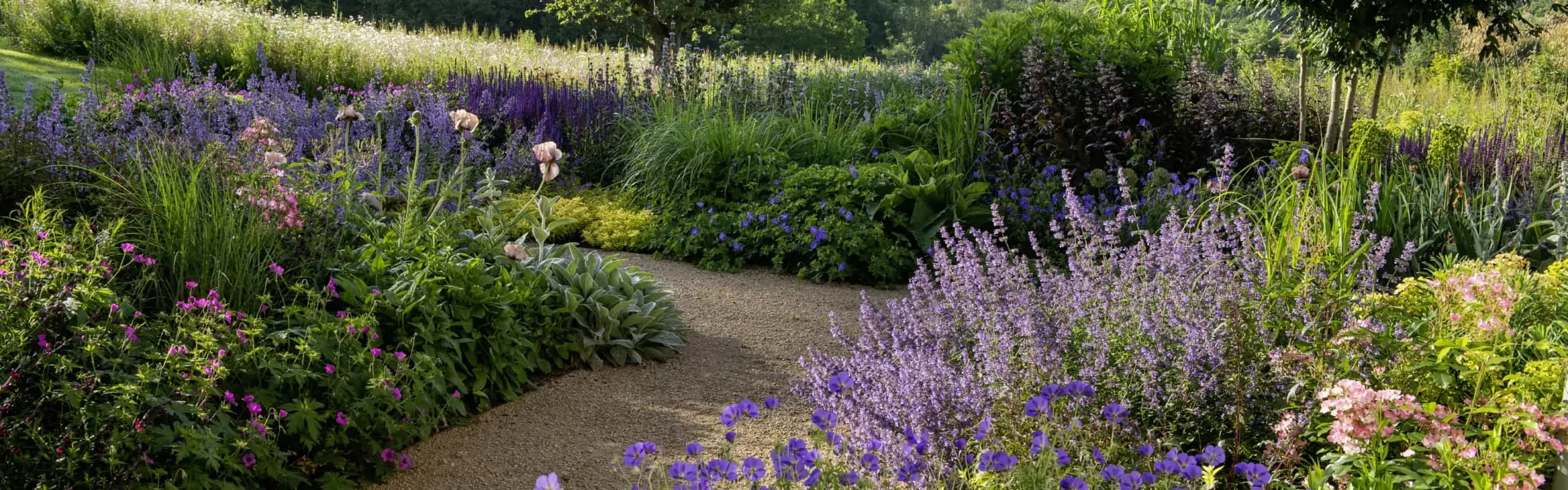 Curved gravel path through colourful perennial planting with purple, pink and blue flowers.